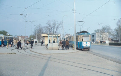 {short description of image}